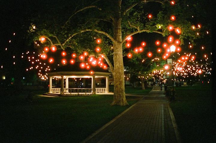 A gazebo is illuminated at night by string lights draped over trees and a streetlamp.