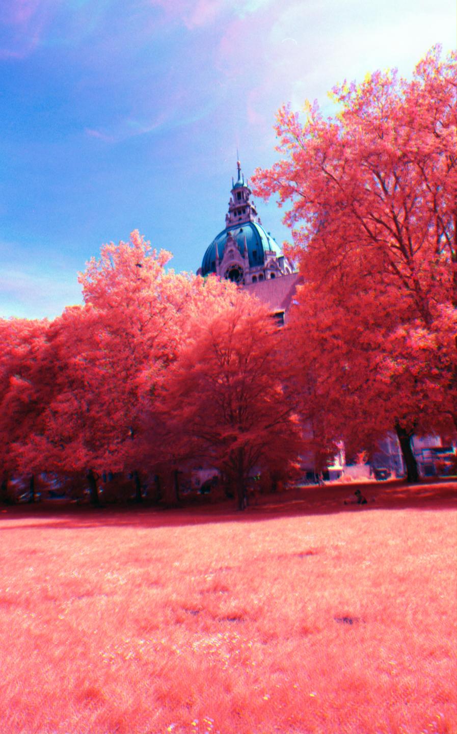 A large building with a domed roof is visible behind a field of red grass and trees with red foliage under a blue sky.