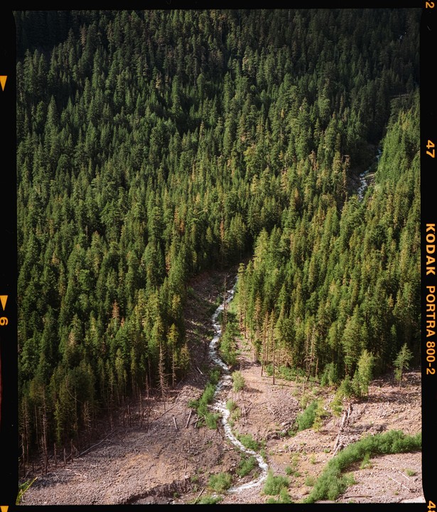 A winding stream flows through a valley with dense forest on one side and a deforested area on the other.