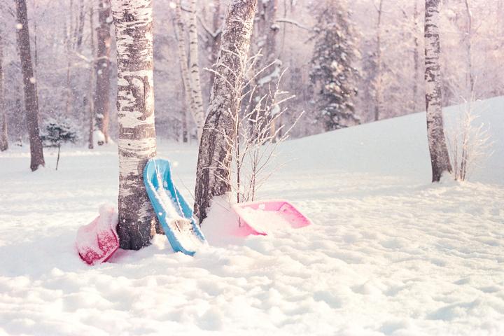 Three sleds are leaning against trees in a snowy forest.