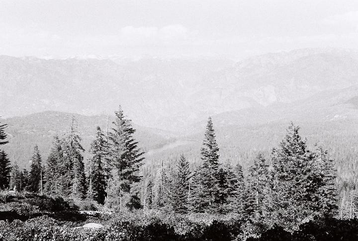 A forest of pine trees and bushes covers a mountain landscape under a hazy sky.