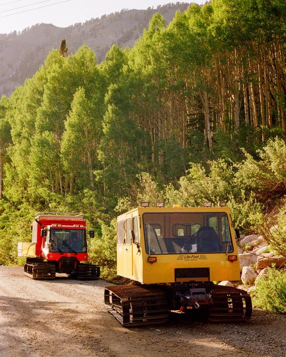 Two snowcats are parked on a dirt road next to a forest of tall, green trees.