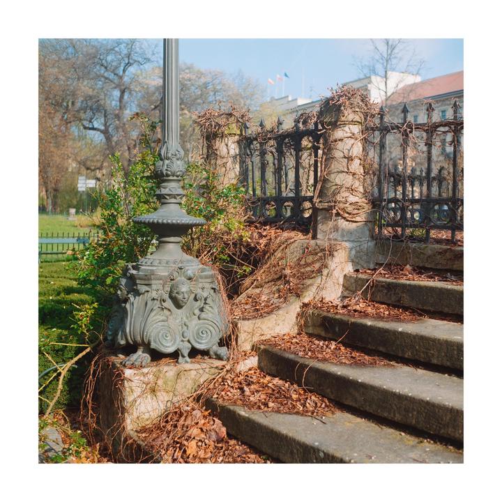A stone staircase covered in dry leaves leads up to a wrought iron fence and a decorative lamppost base.
