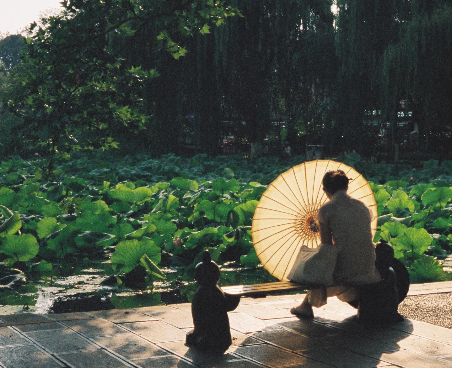 A woman sits on a bench with a parasol, looking out at a pond filled with lily pads.