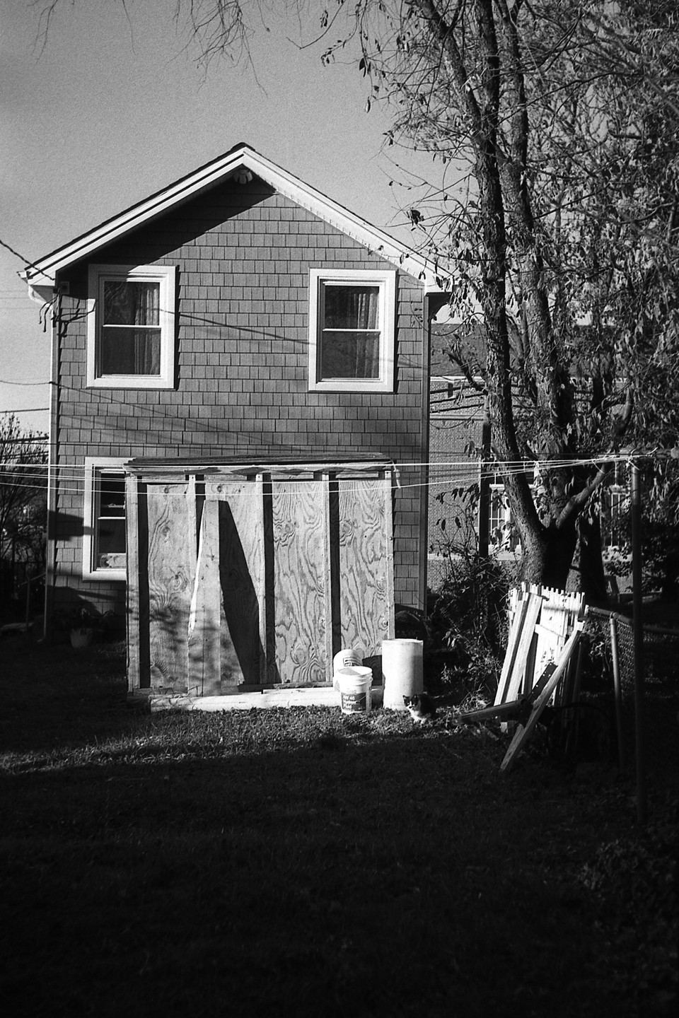 A house with two windows and a shed in the yard is partially shaded by a large tree.