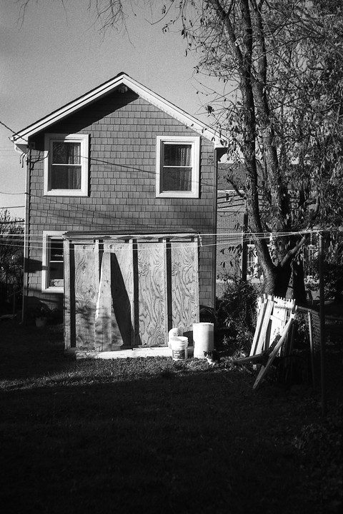 A house with two windows and a shed in the yard is partially shaded by a large tree.