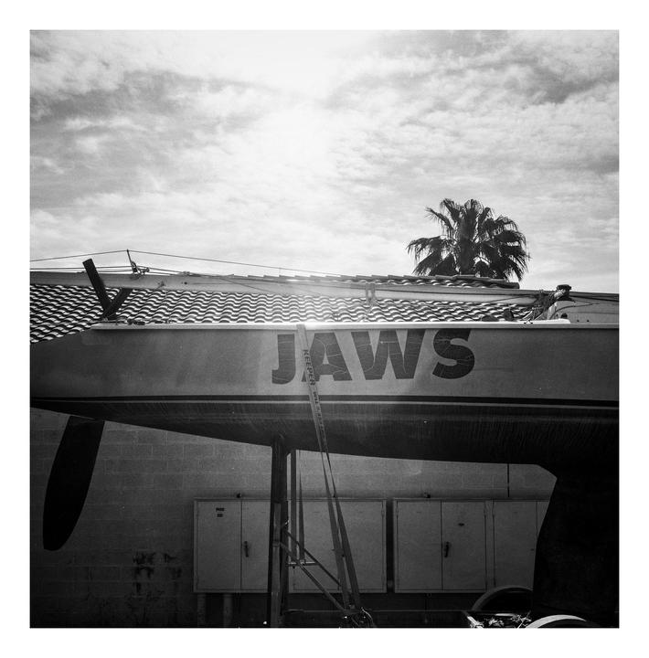 A boat named Jaws is dry-docked under a cloudy sky with a palm tree in the background.