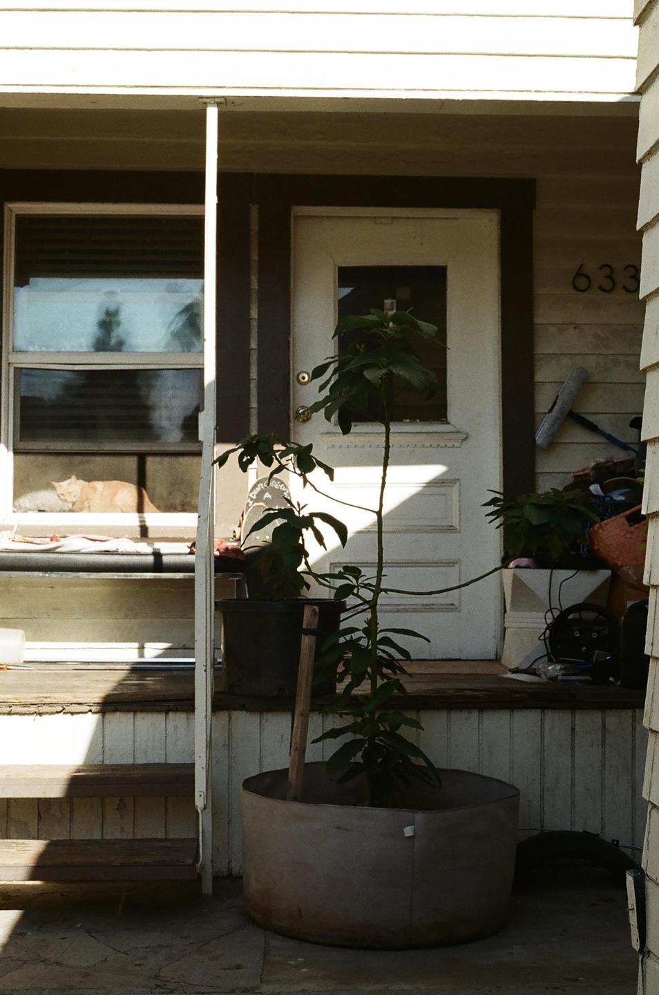 A cat sleeps on a window sill next to a front door with the number 633.