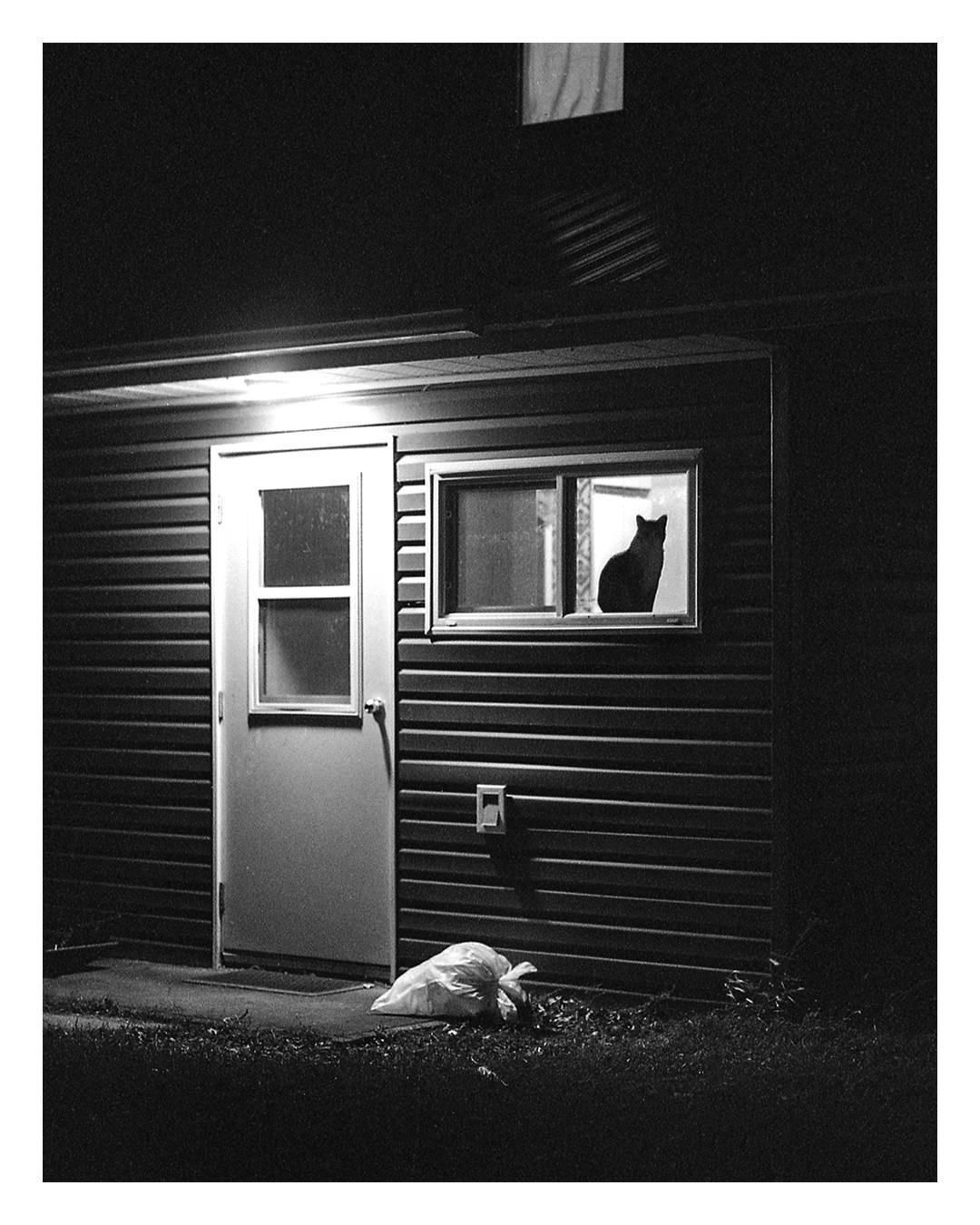 A cat sits in a window next to a door with a bag of garbage on the ground outside.