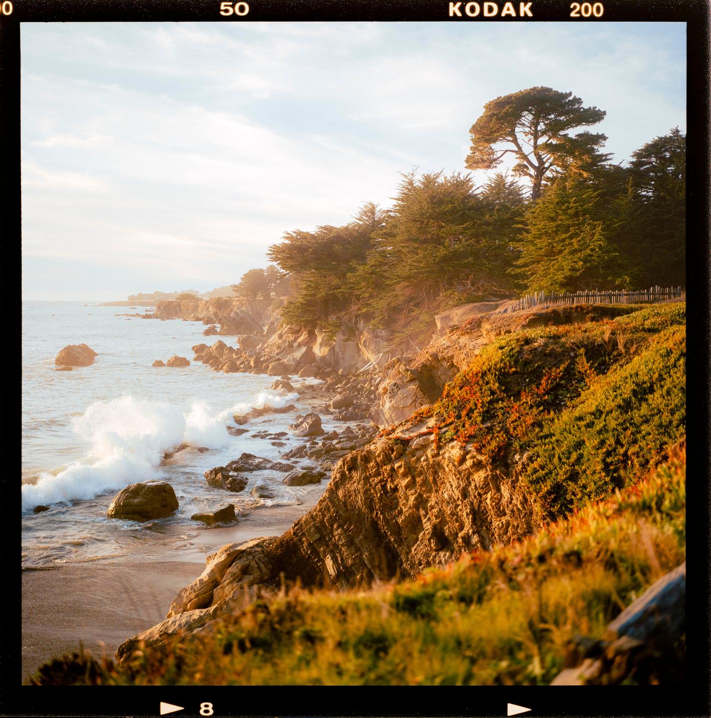 Waves crash against a rocky coastline with pine trees and vegetation on the cliffs.