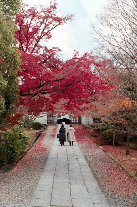 Two women walk up a stone path covered in red autumn leaves toward a building with a dark entrance.