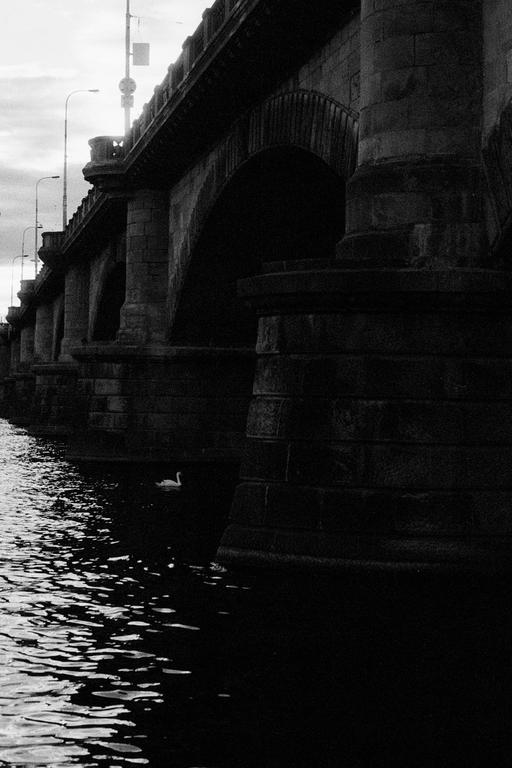 A swan swims in the water next to a large stone bridge with multiple arches.