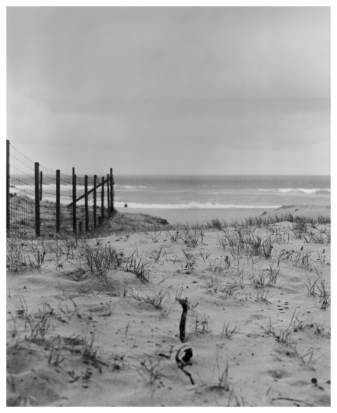 A fence runs along a sandy beach with sparse grass and the ocean in the background under a cloudy sky.