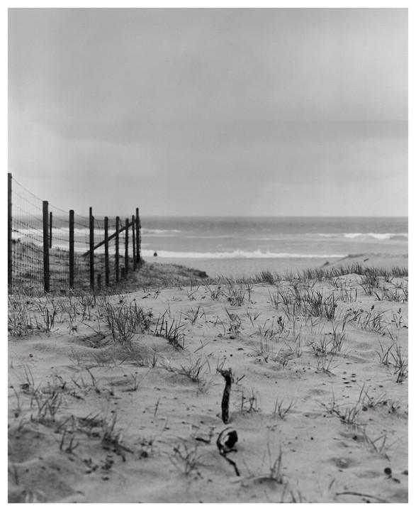 A fence runs along a sandy beach with sparse grass and the ocean in the background under a cloudy sky.