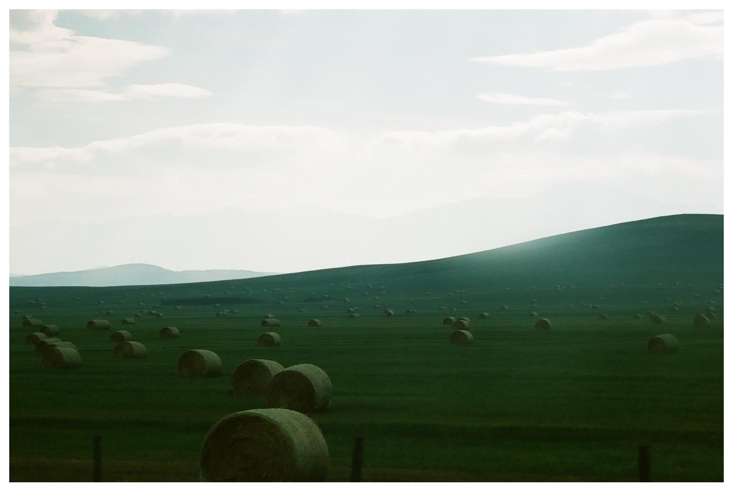 A vast green field with numerous round hay bales stretches towards distant hills under a cloudy sky.