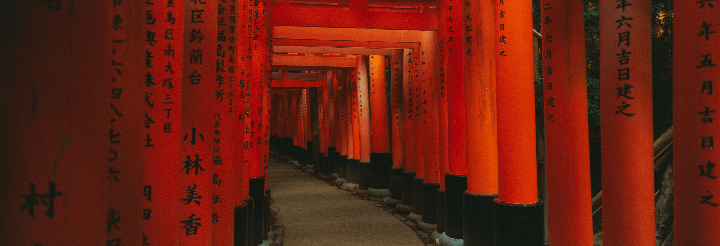 A path leads through a tunnel of red torii gates with Japanese writing on them.