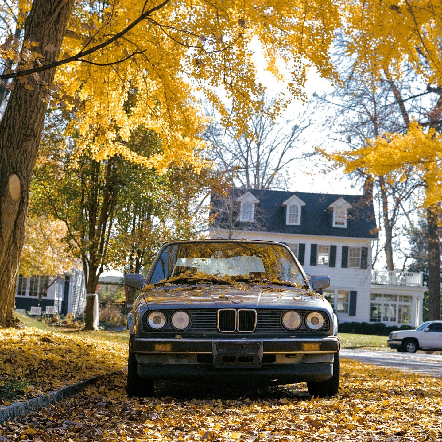 A car is parked on a street covered in autumn leaves, with a house in the background.