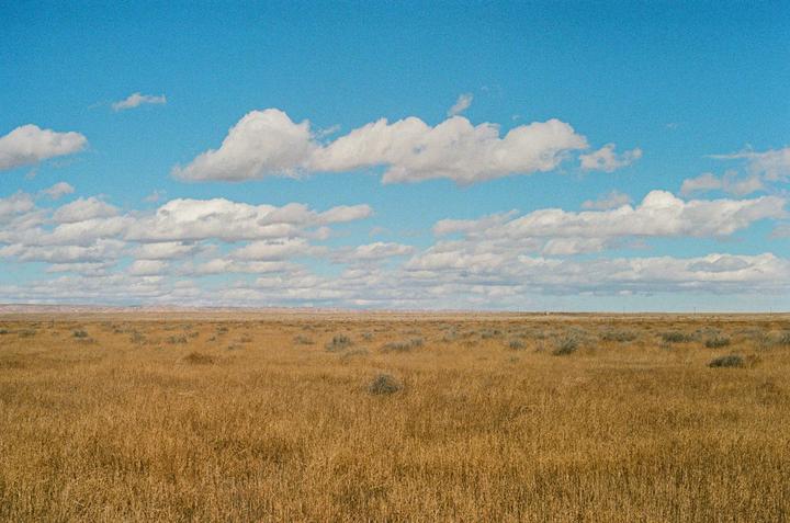 A vast field of dry grass stretches under a blue sky with scattered white clouds.
