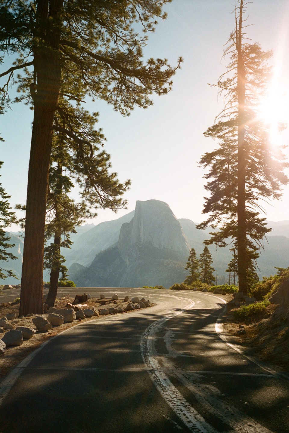 A winding road leads to a mountain peak, framed by tall pine trees with sunlight shining through the branches.