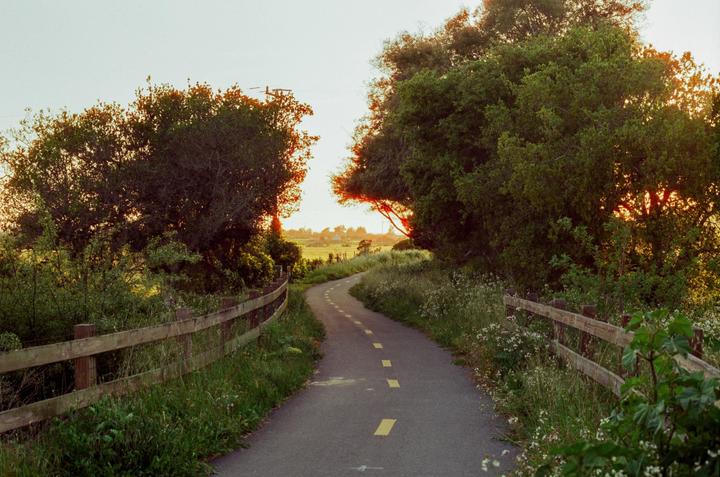 A winding path with yellow dashed lines is bordered by a wooden fence and lush green foliage under a bright sky.