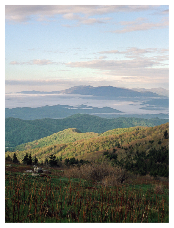 A mountain landscape shows layers of green hills and trees with fog in the valleys under a cloudy sky.