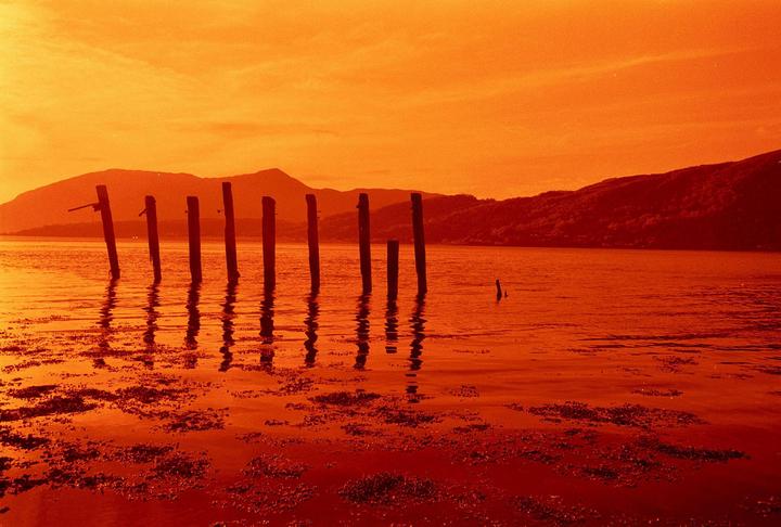 Several wooden posts stand in a body of water with mountains in the background under an orange sky.
