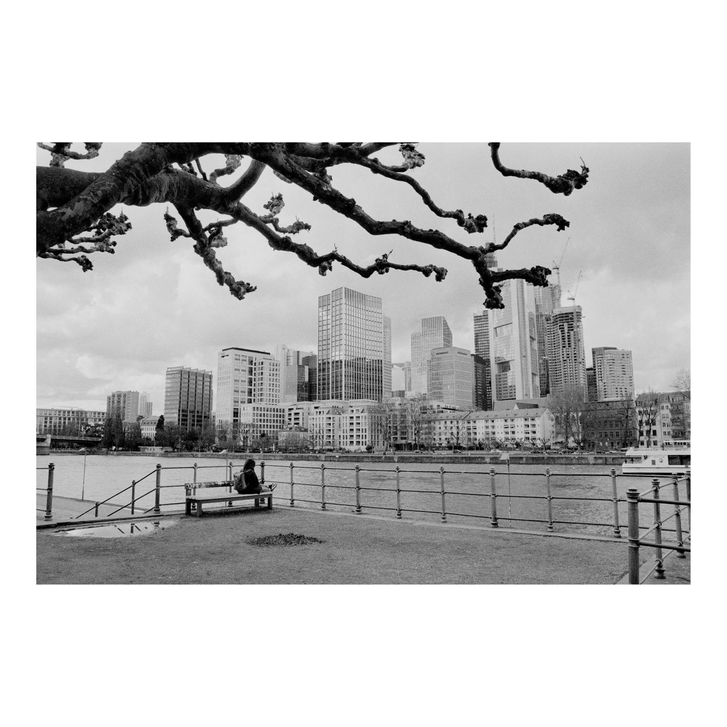A person sits on a bench by a river with a city skyline in the background, framed by tree branches.