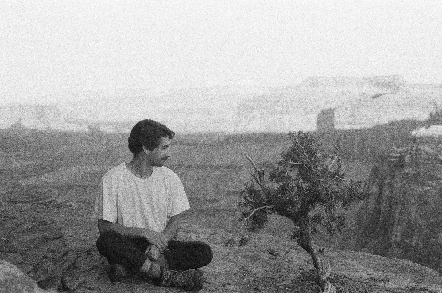 A man sits on a cliff next to a small tree, looking out at a vast canyon landscape.