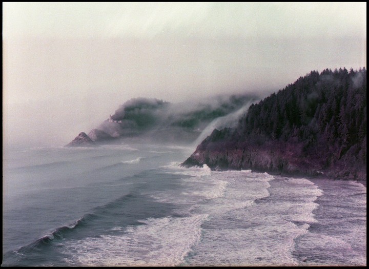 Waves crash against a rocky, forested coastline shrouded in fog.