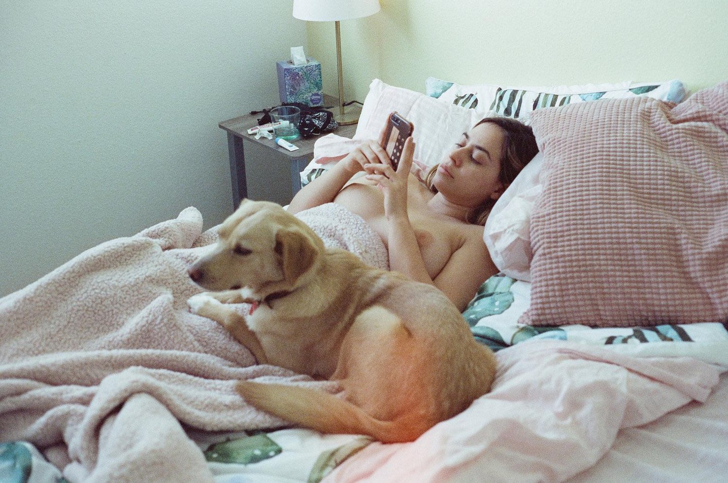 A woman lies in bed next to a dog, looking at her phone.