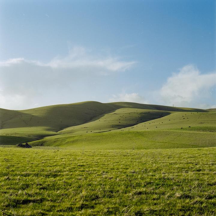 A vast green pasture with rolling hills under a blue sky with scattered clouds.