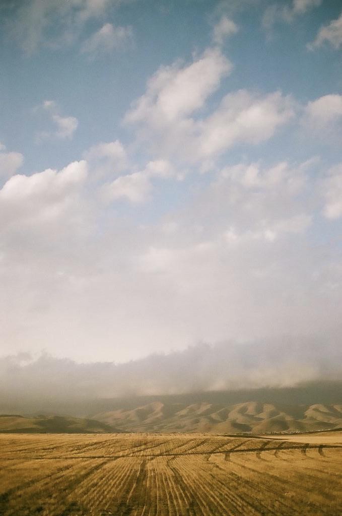A vast field of harvested crops stretches towards rolling hills partially obscured by a low-hanging cloud.
