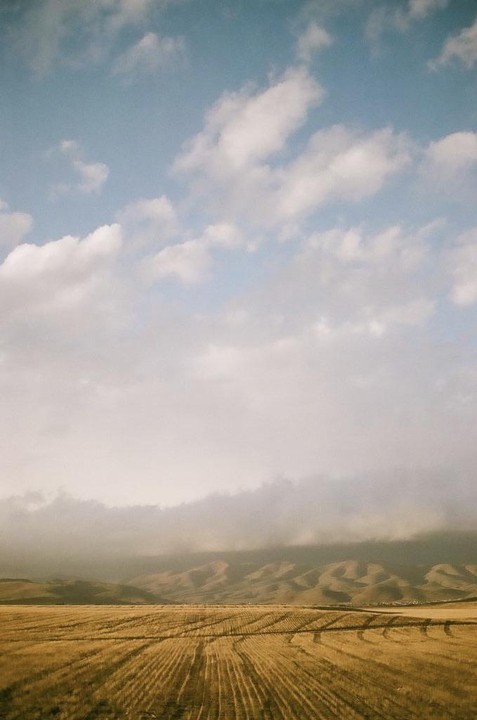A vast field of harvested crops stretches towards rolling hills partially obscured by a low-hanging cloud.