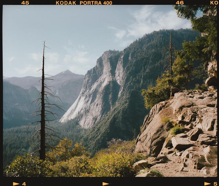 A tall, dead tree stands prominently on a rocky mountain path overlooking a vast valley with steep cliffs and lush forests.
