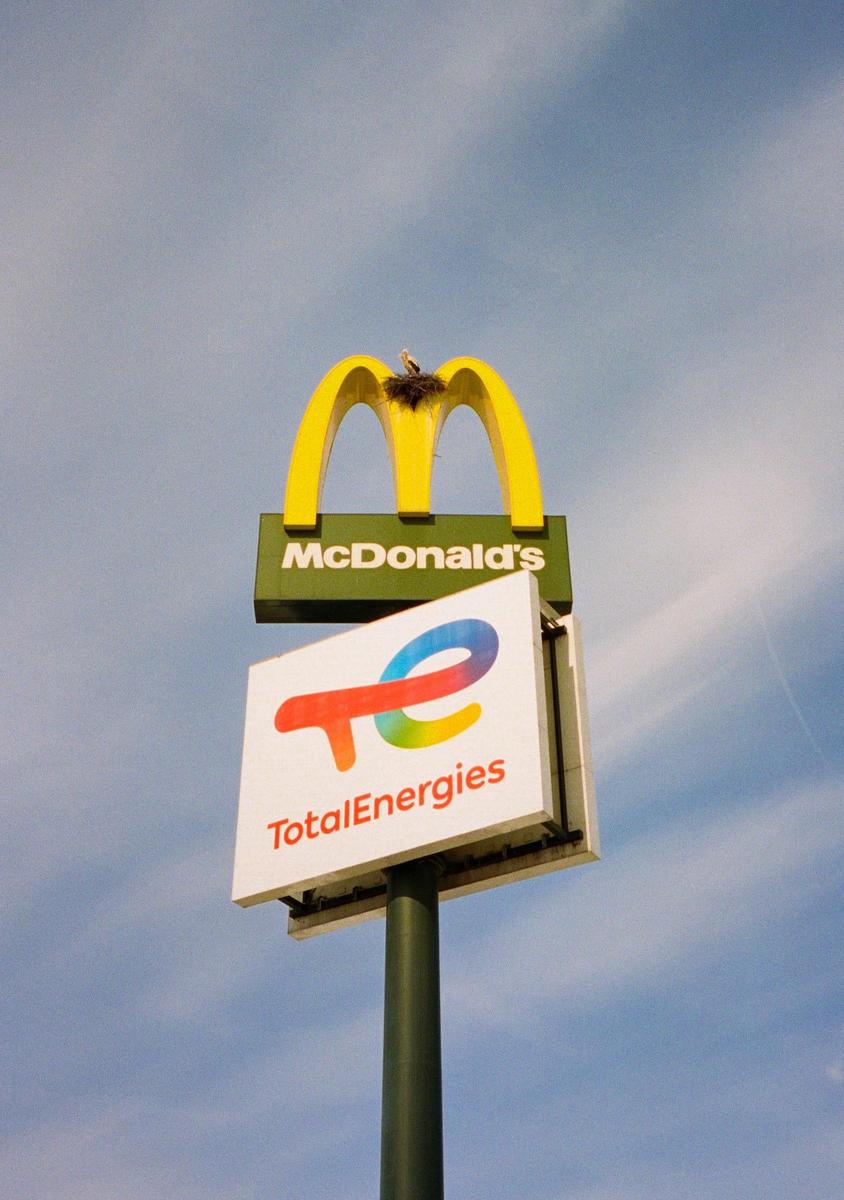 A bird's nest is visible on top of a McDonald's sign, which is above a TotalEnergies sign, against a blue sky.