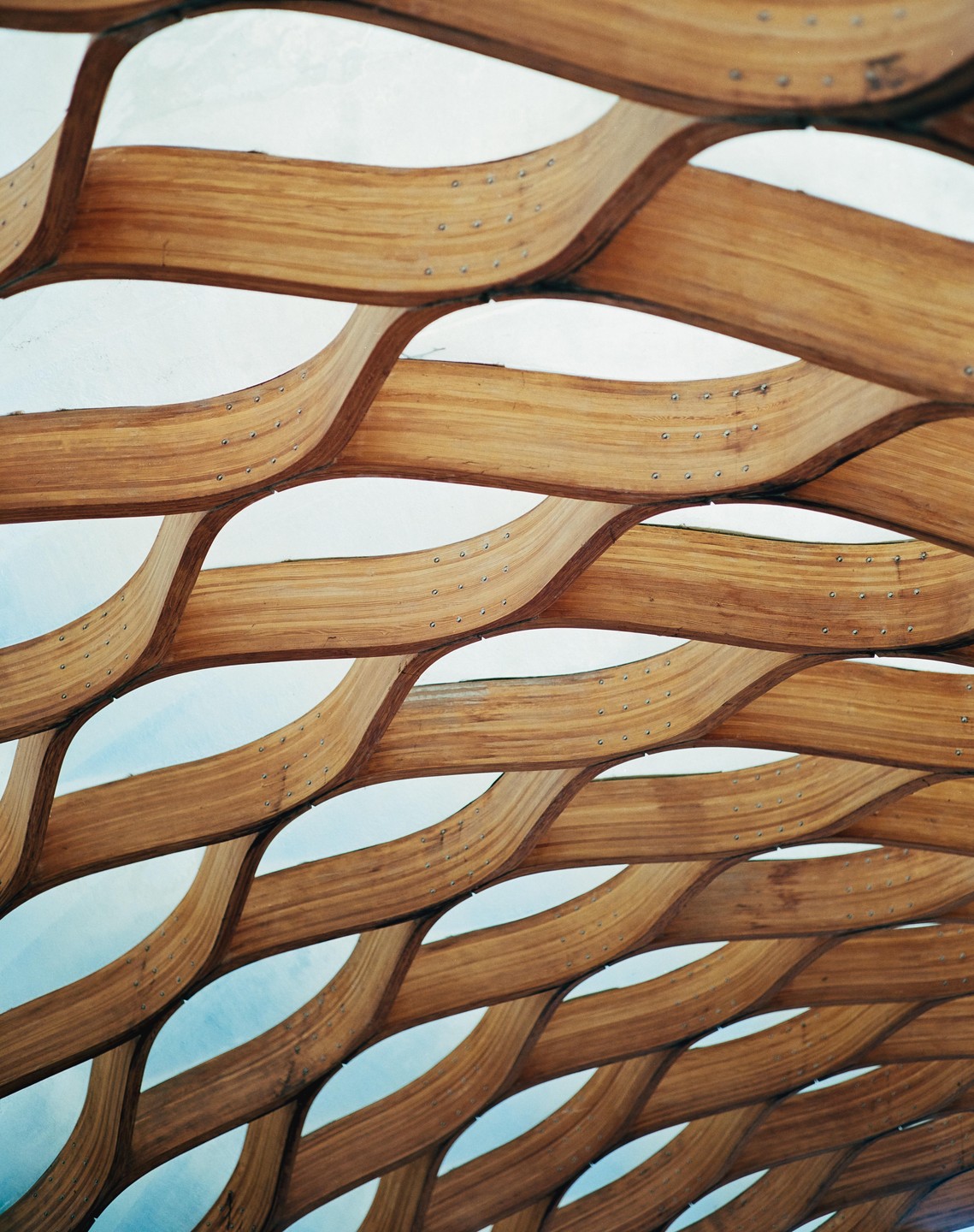 A wooden lattice structure with a wavy pattern is visible against a bright sky.