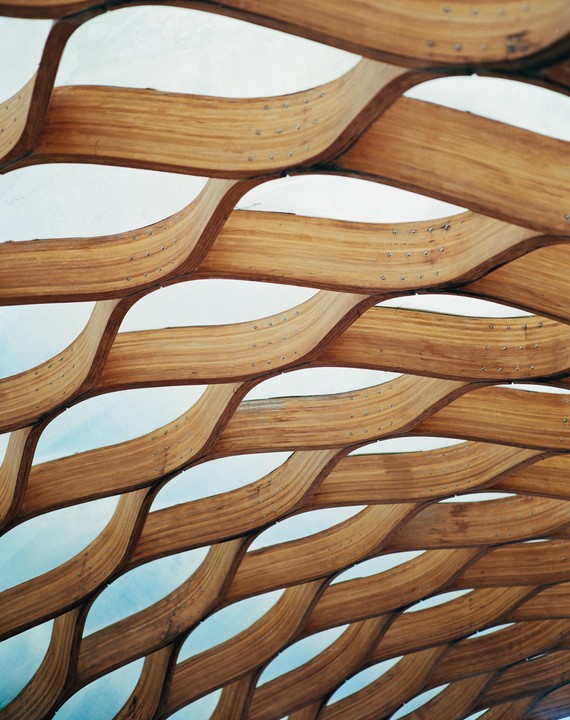 A wooden lattice structure with a wavy pattern is visible against a bright sky.