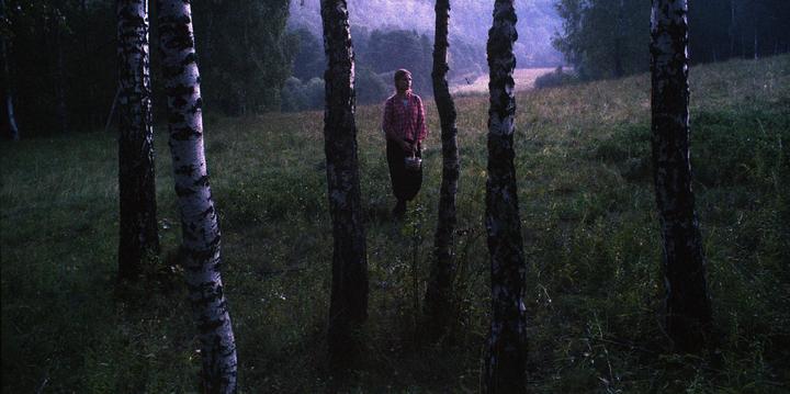 A woman stands in a field surrounded by birch trees, holding a basket.