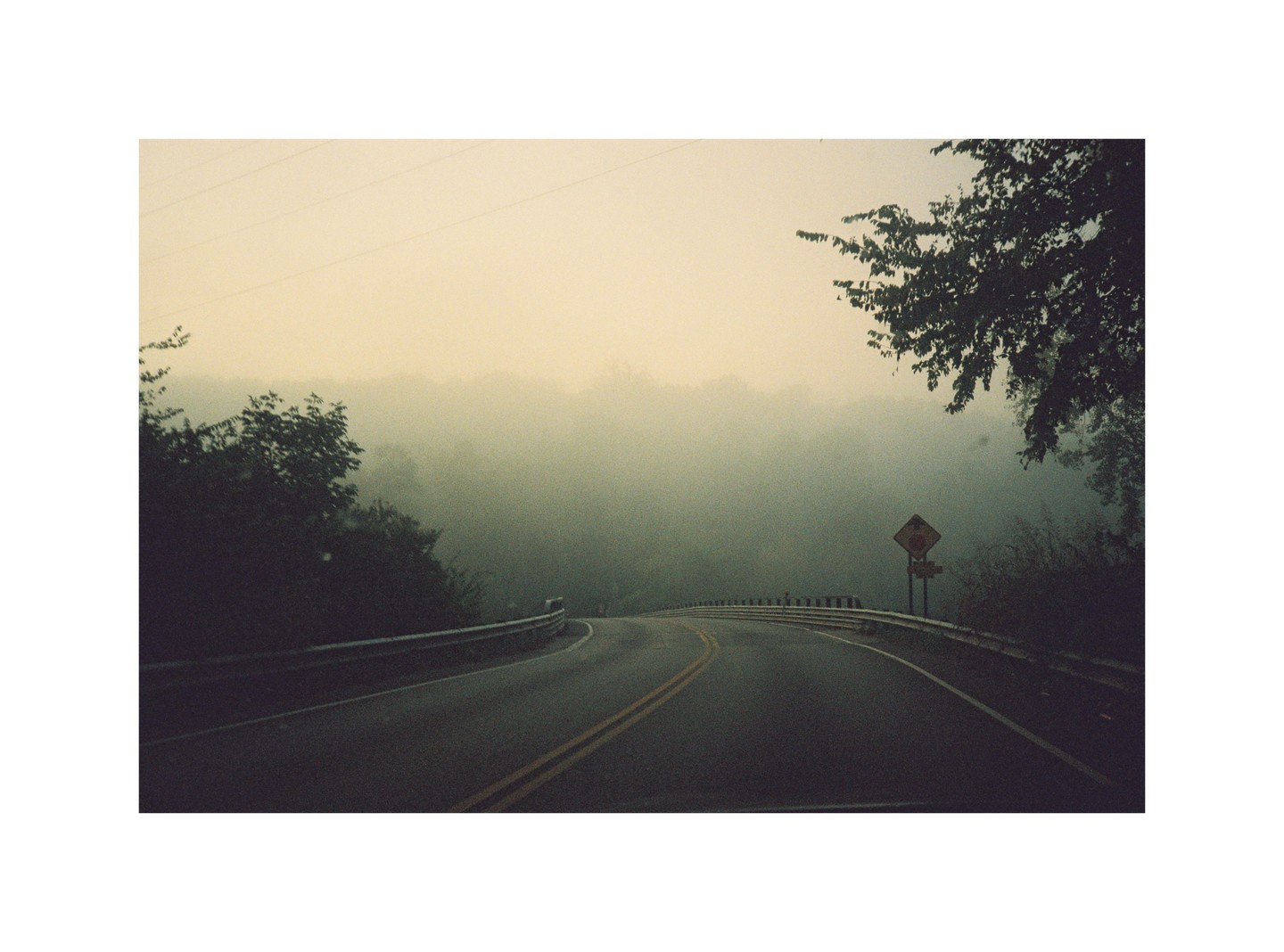 A winding road disappears into a dense fog with trees and a road sign visible on the side.