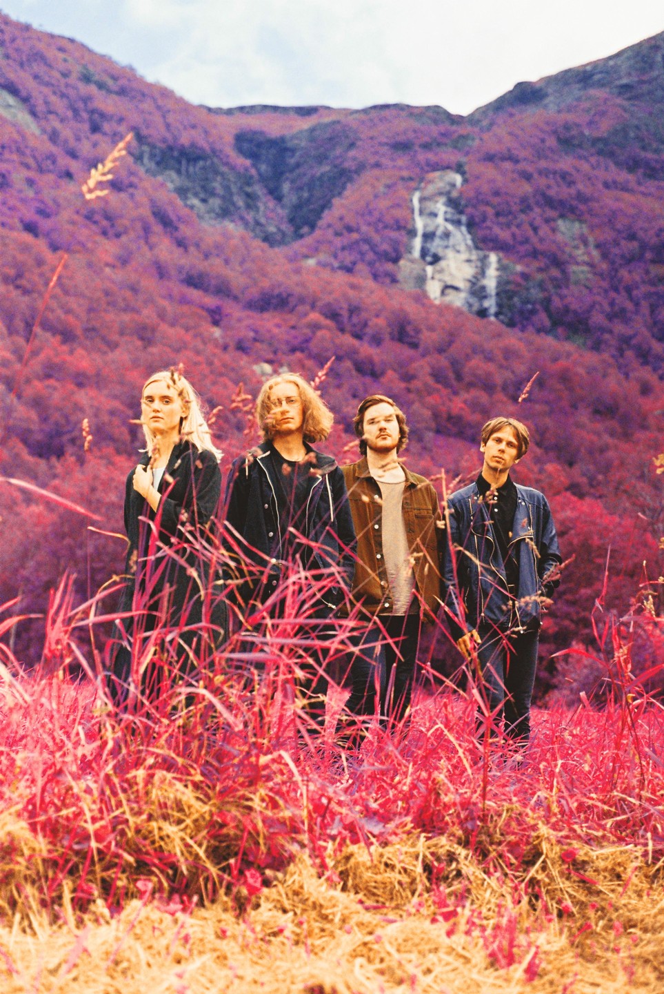Four people stand in tall red grass with a mountain and waterfall in the background.