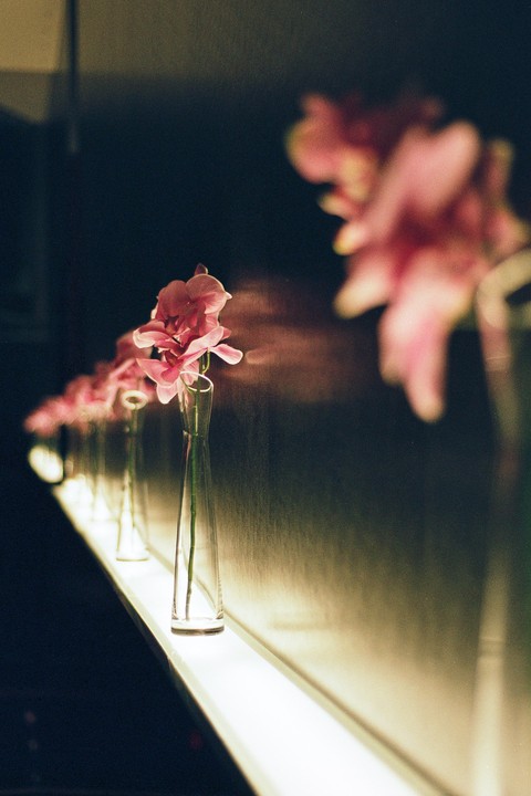 A row of pink orchids in slender glass vases sits on a brightly lit ledge against a dark background.