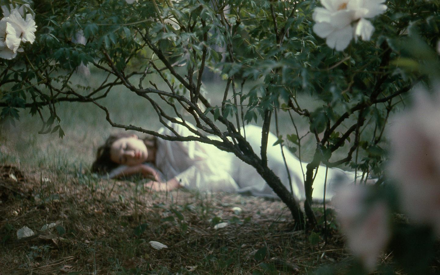 A woman in a white dress is lying on the ground under a bush with white flowers.