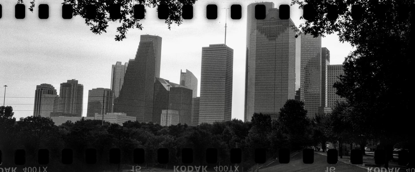 A panoramic view of a city skyline with numerous skyscrapers rising above a line of trees, framed by dark foliage at the top and bottom.
