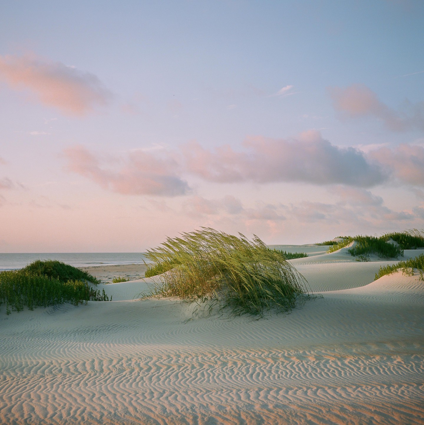Sand dunes with green grass and a calm ocean under a pastel sky are visible.