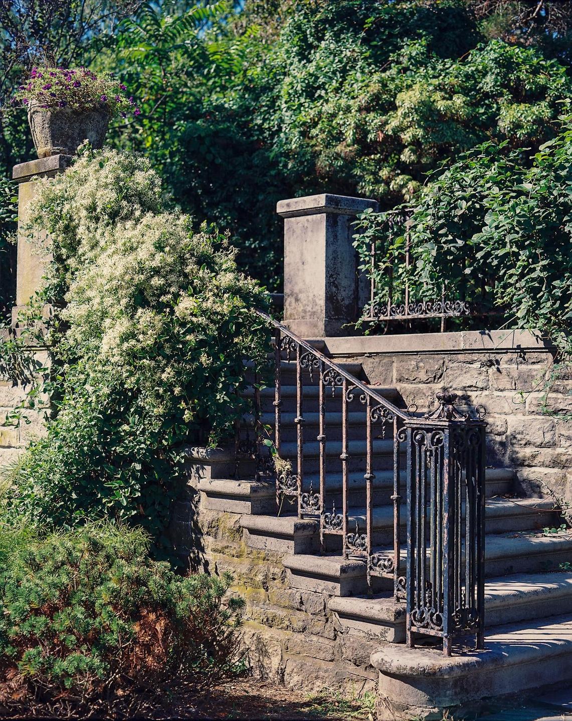 A stone staircase with an ornate iron railing is surrounded by lush green foliage and flowering bushes.