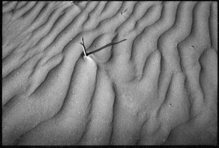 A small stick casts a long shadow across rippled sand.