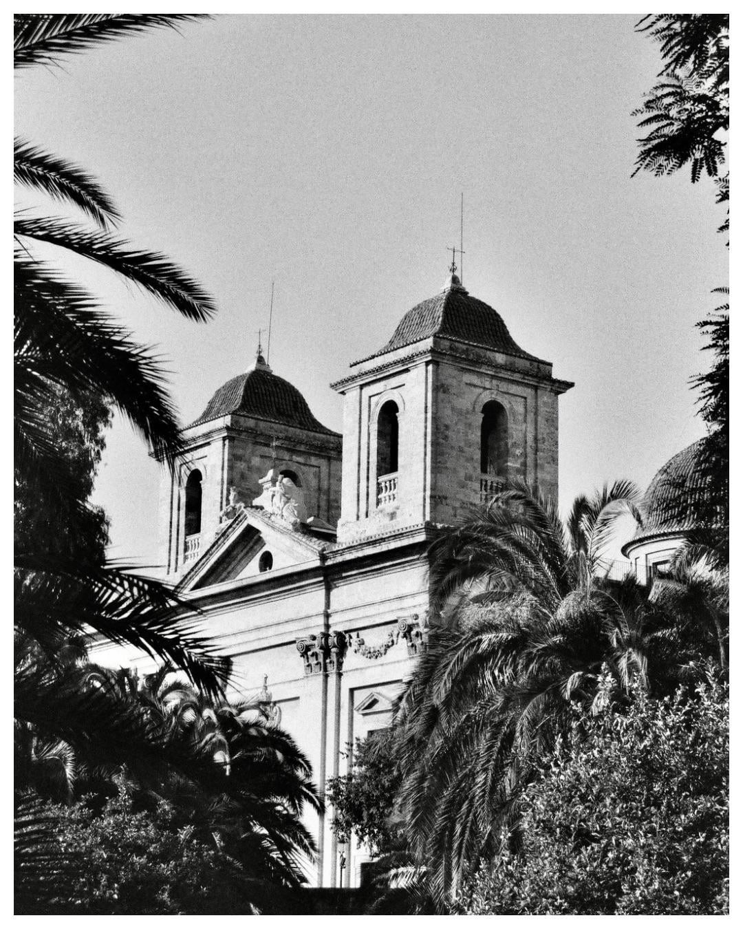 A large building with two bell towers is framed by palm fronds and other foliage.