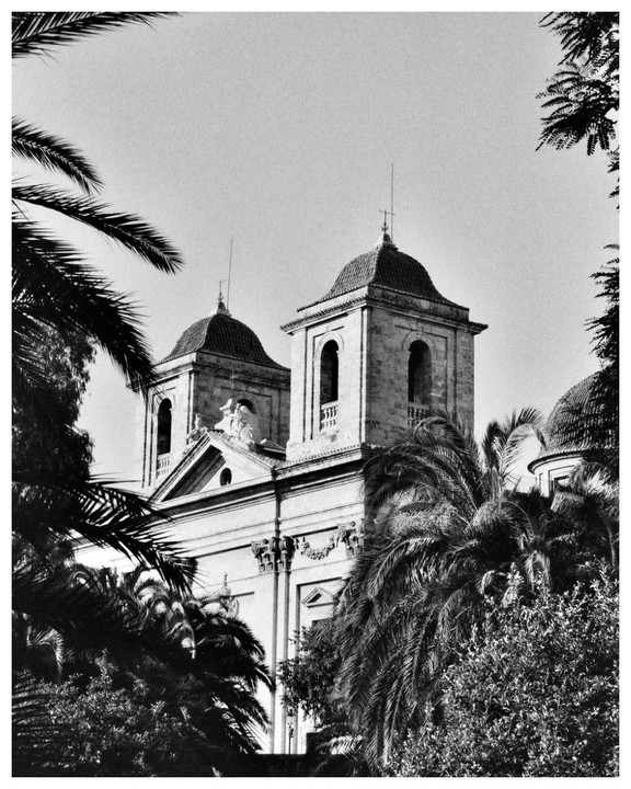 A large building with two bell towers is framed by palm fronds and other foliage.