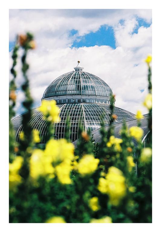 A glass conservatory dome is visible behind yellow flowers and green foliage under a cloudy sky.
