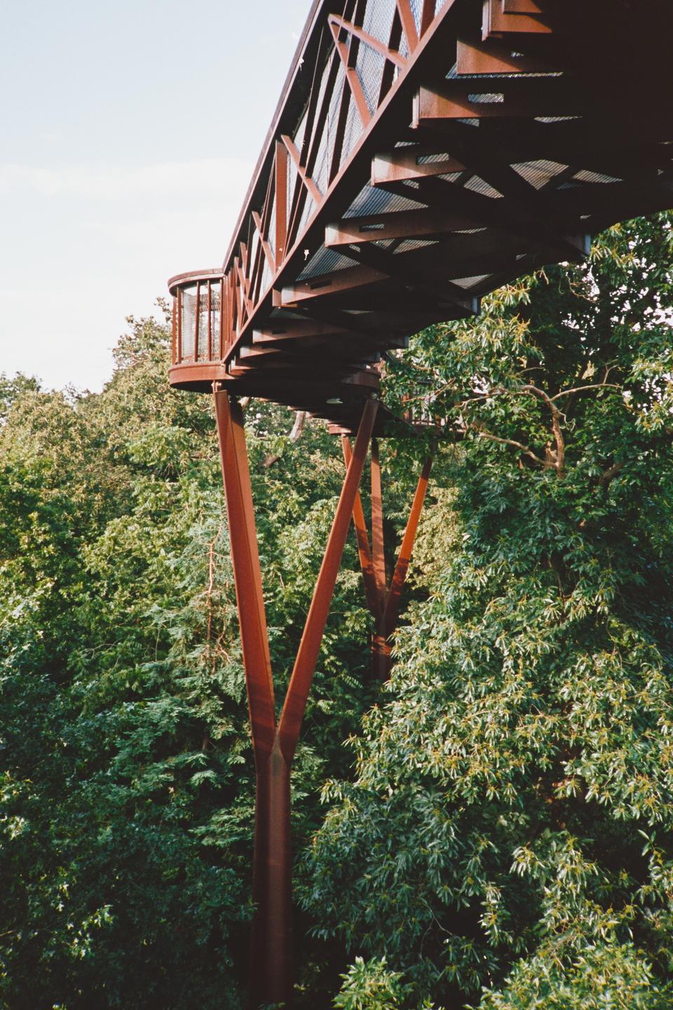 A metal walkway with a small viewing platform extends over a dense forest canopy.